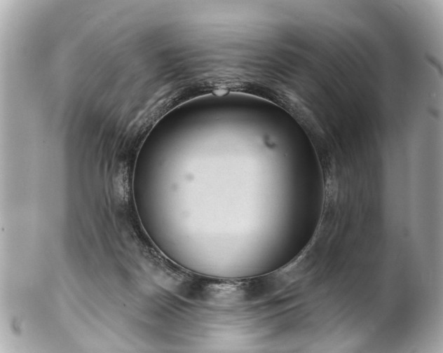 X0000102500170200808151530