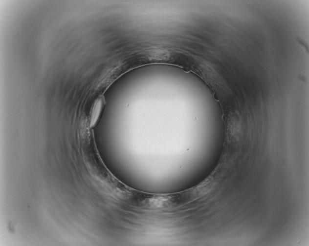 X0000102500172200808151530