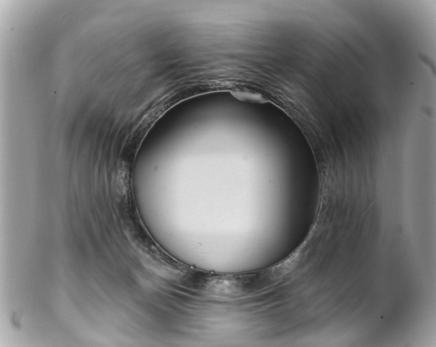 X0000102500174200808151530