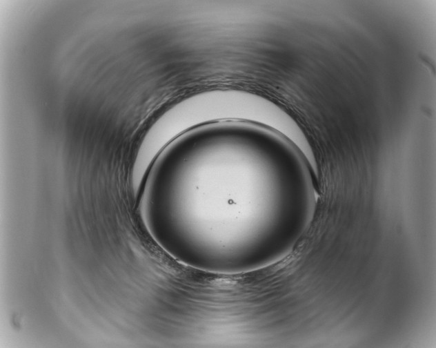 X0000102500176200808151530