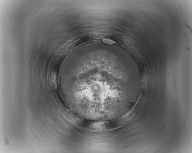 X0000102500178200808151530