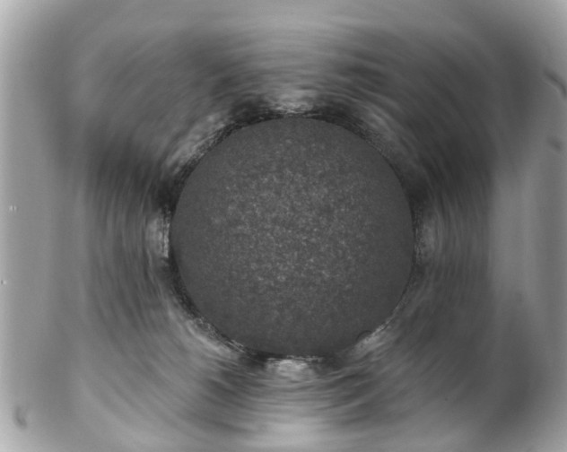 X0000102500180200808151530