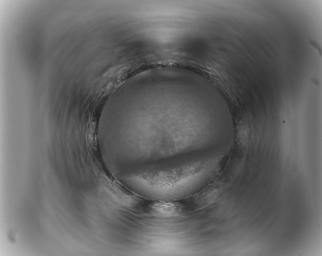 X0000102500181200808151530