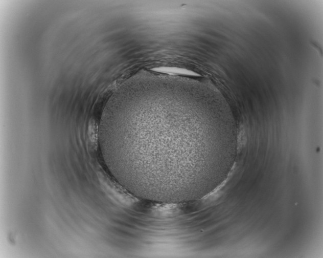 X0000102500186200808151530