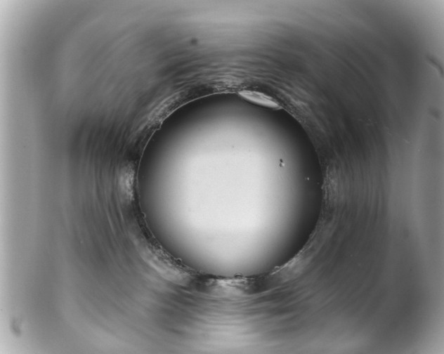 X0000102500188200808151530