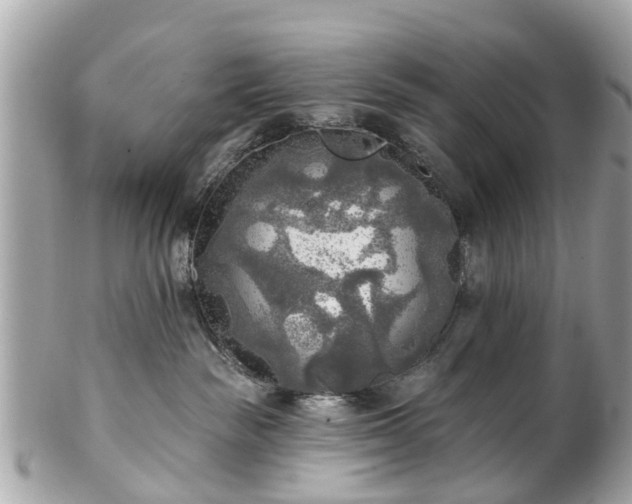 X0000102500189200808151530