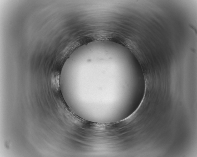 X0000102500190200808151530