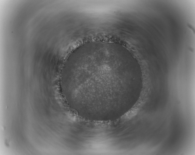 X0000102500192200808151530