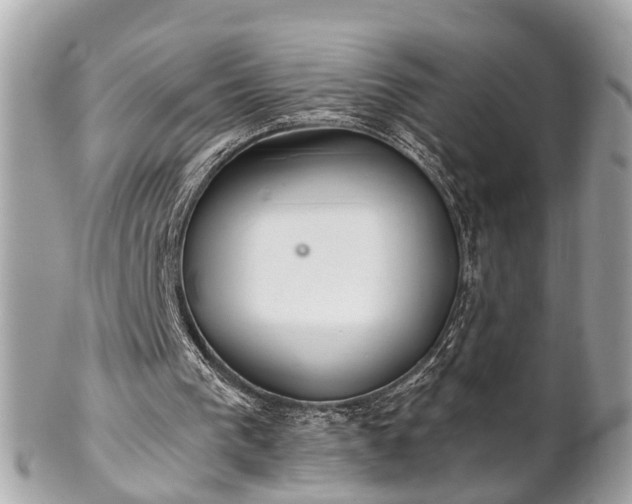 X0000102500193200808151529