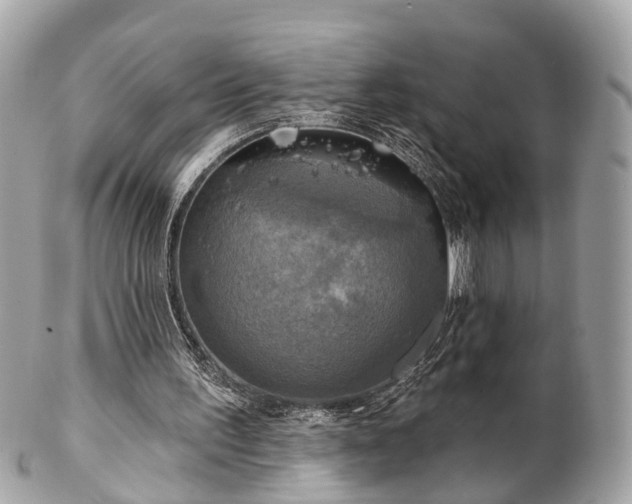 X0000102500195200808151529