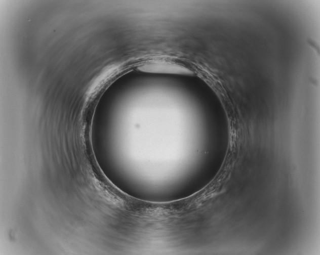 X0000102500197200808151529