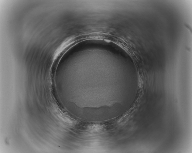 X0000102500198200808151529