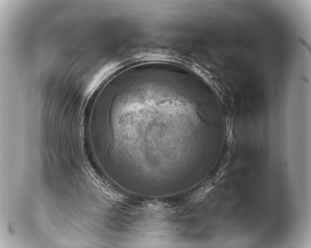 X0000102500199200808151529