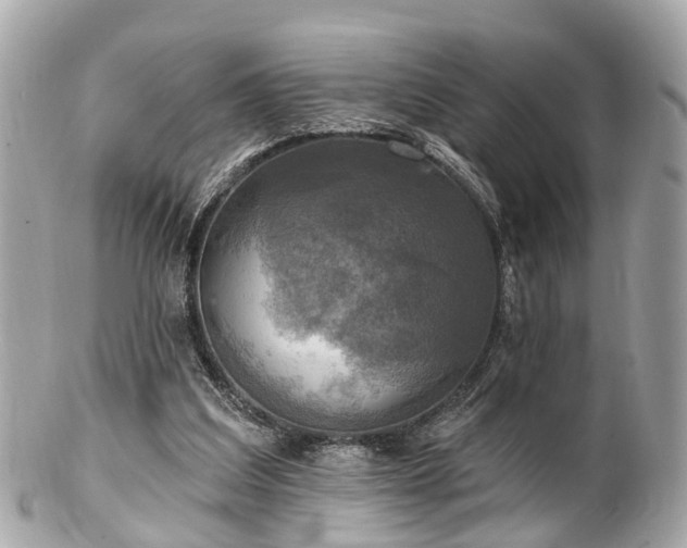 X0000102500203200808151529