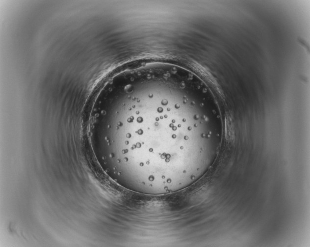 X0000102500204200808151529