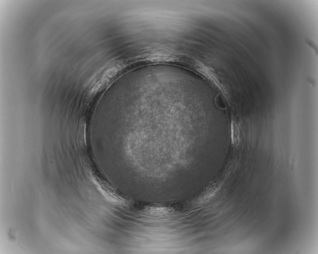 X0000102500205200808151529