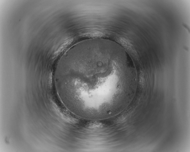 X0000102500206200808151529