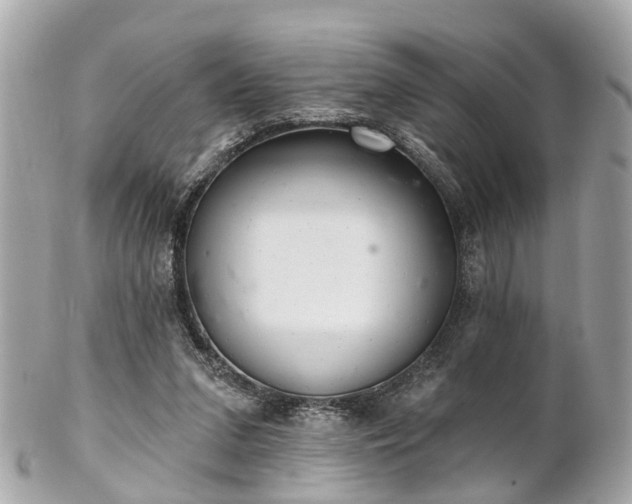 X0000102500207200808151529