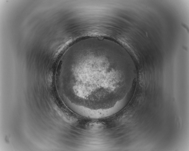 X0000102500208200808151529