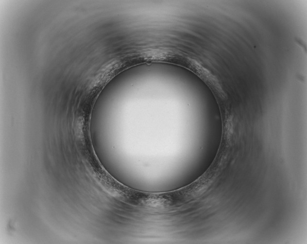 X0000102500209200808151529