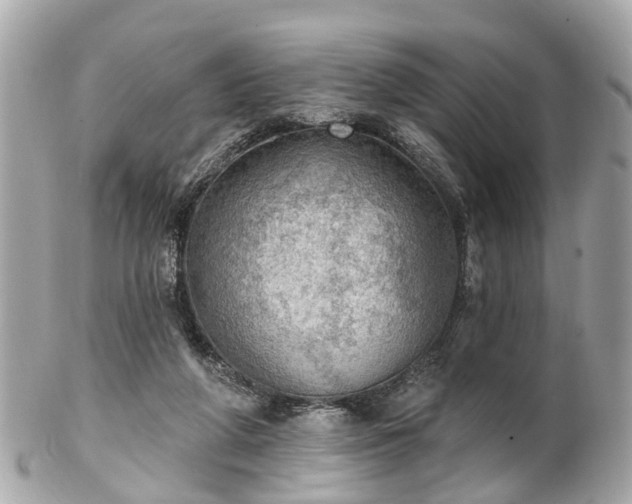 X0000102500210200808151529