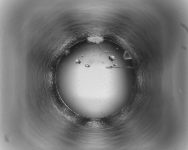 X0000102500211200808151529