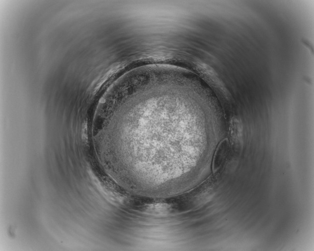 X0000102500212200808151529