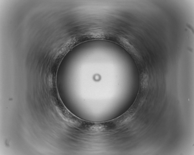 X0000102500213200808151529