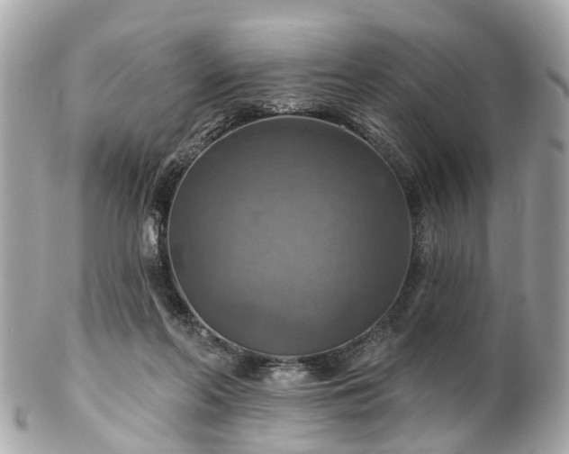 X0000102500214200808151529