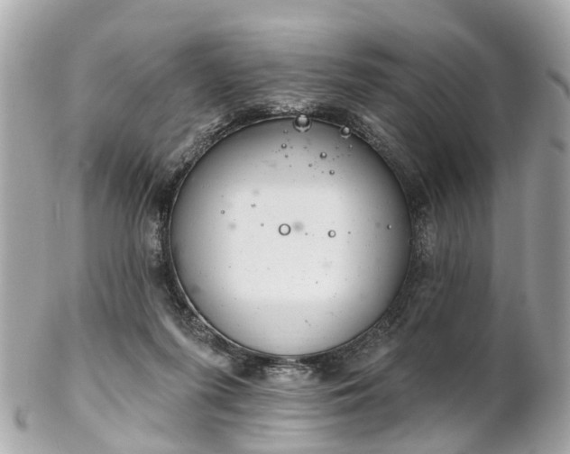 X0000102500215200808151529