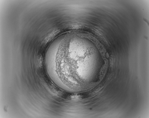 X0000102500216200808151529