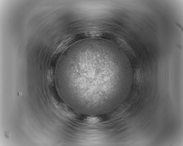 X0000102500218200808151529