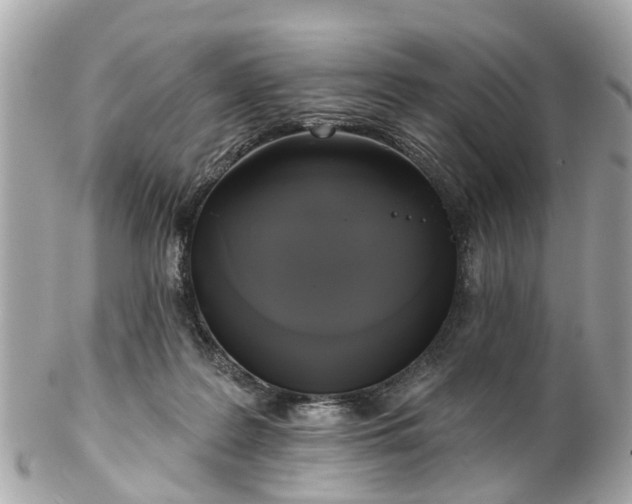 X0000102500219200808151529