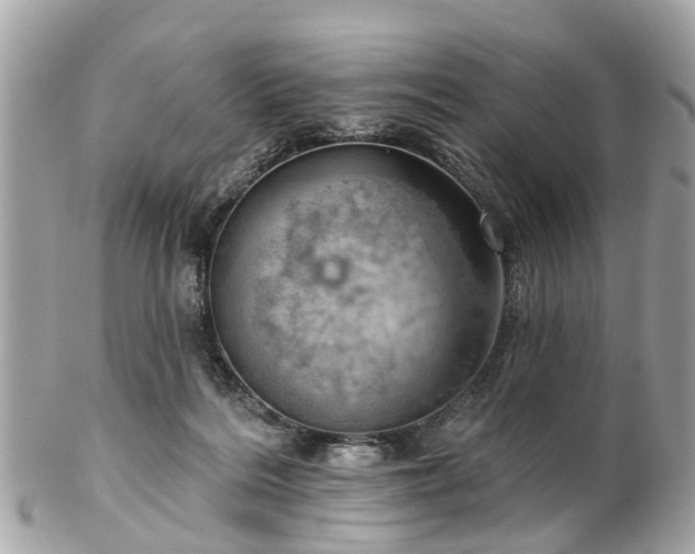 X0000102500220200808151529