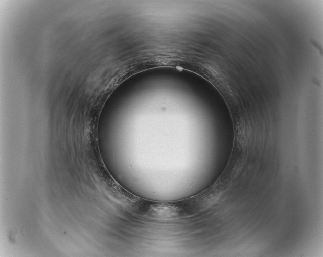 X0000102500221200808151529