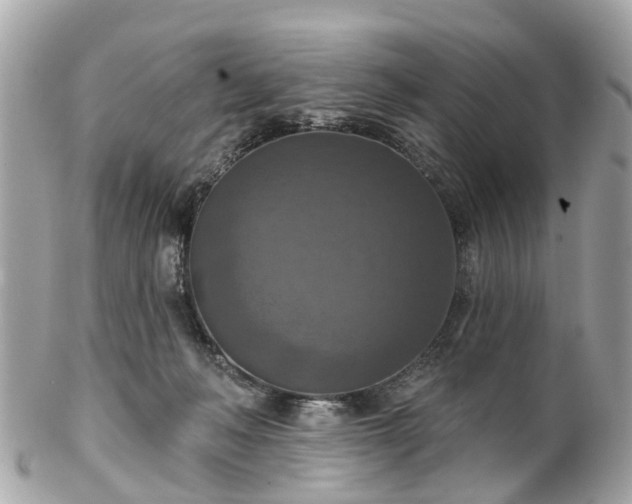 X0000102500222200808151529