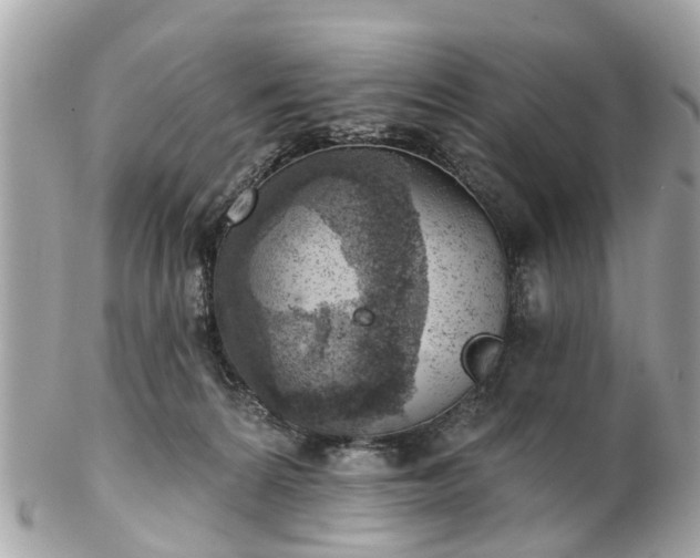 X0000102500224200808151529