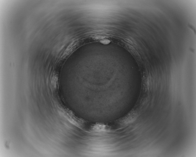 X0000102500227200808151529