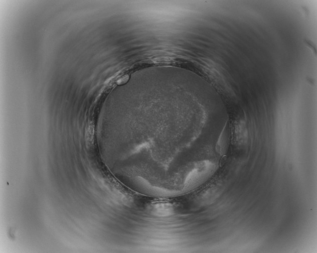 X0000102500228200808151529