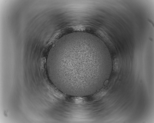 X0000102500229200808151529