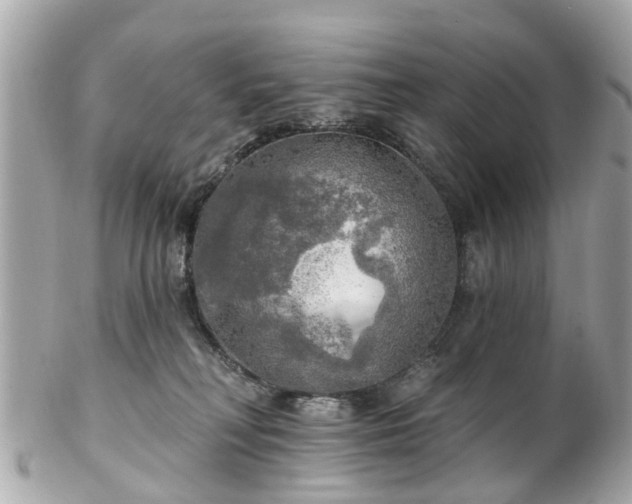 X0000102500230200808151529