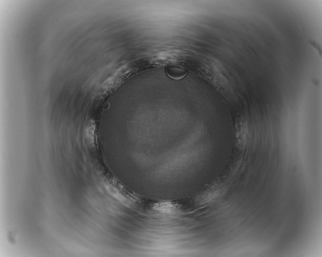 X0000102500231200808151529