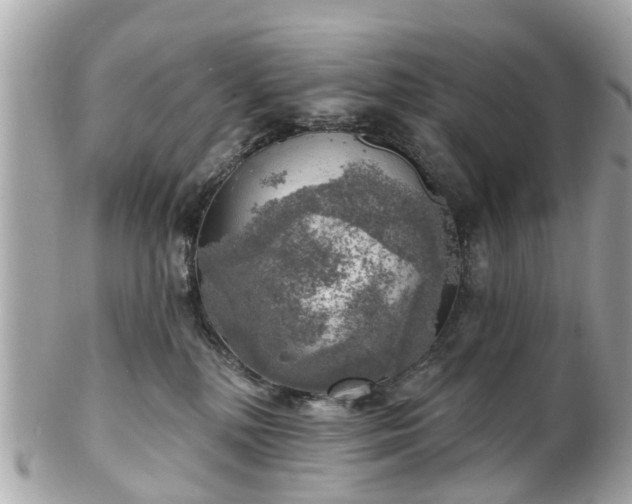 X0000102500232200808151529