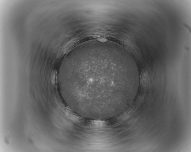 X0000102500233200808151529