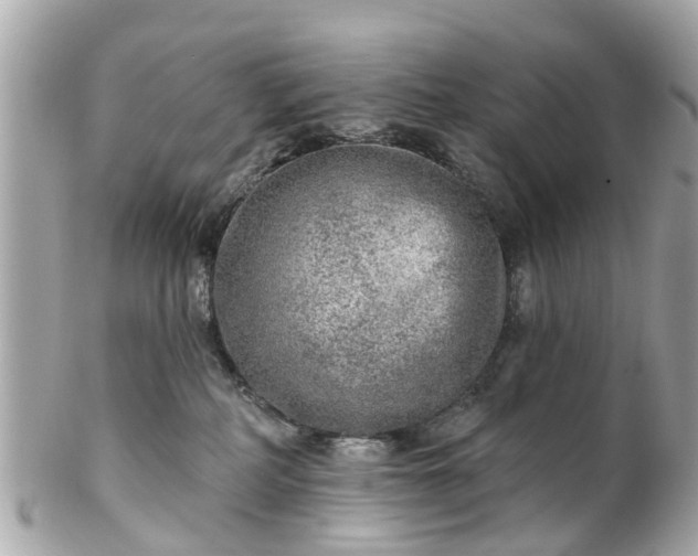 X0000102500234200808151529