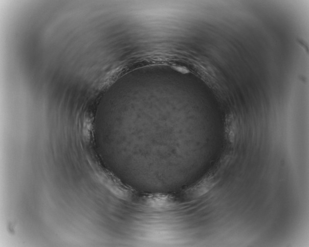 X0000102500235200808151529