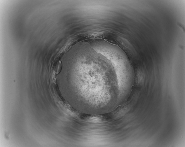 X0000102500236200808151529