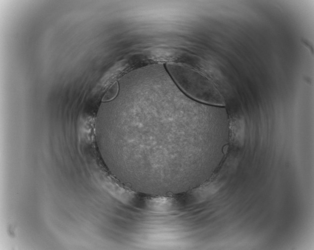 X0000102500237200808151529