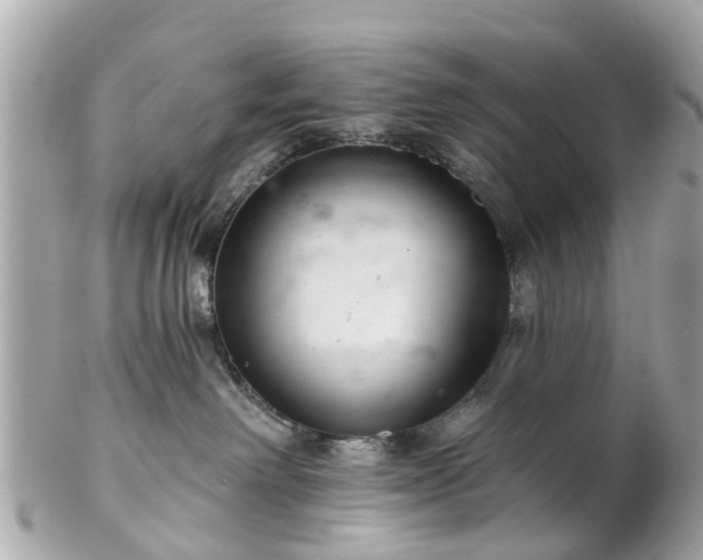 X0000102500238200808151529