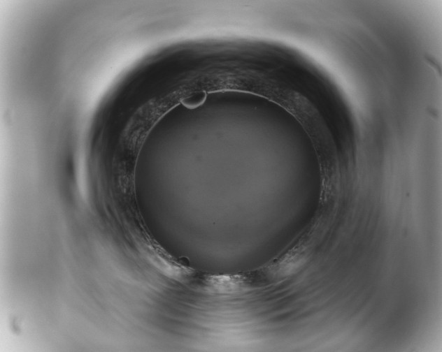 X0000102500239200808151529